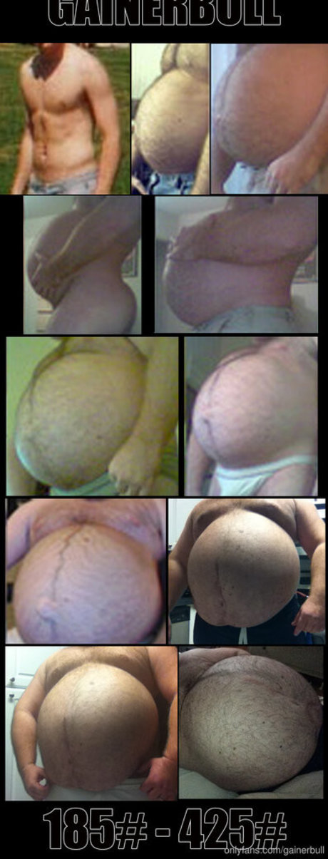 gainerbull modèle galerie