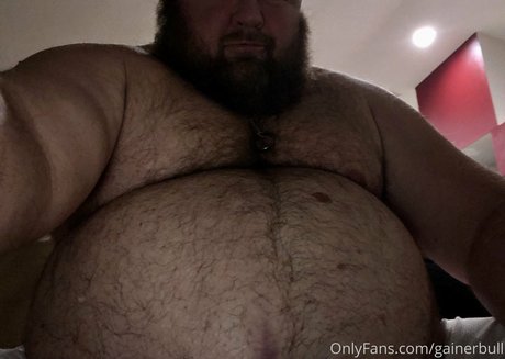 gainerbull modelo de alta calidad recopilación