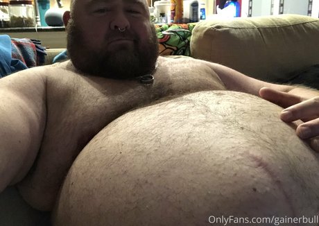 gainerbull haut modèle archive