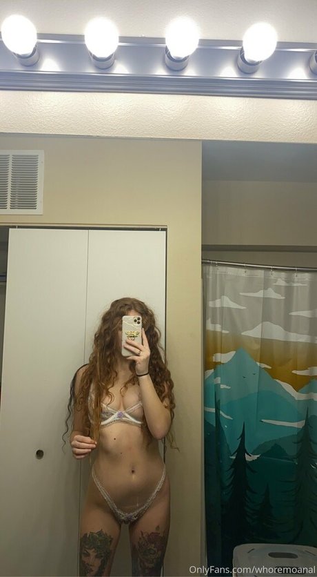 highschooldropout modelo recopilación