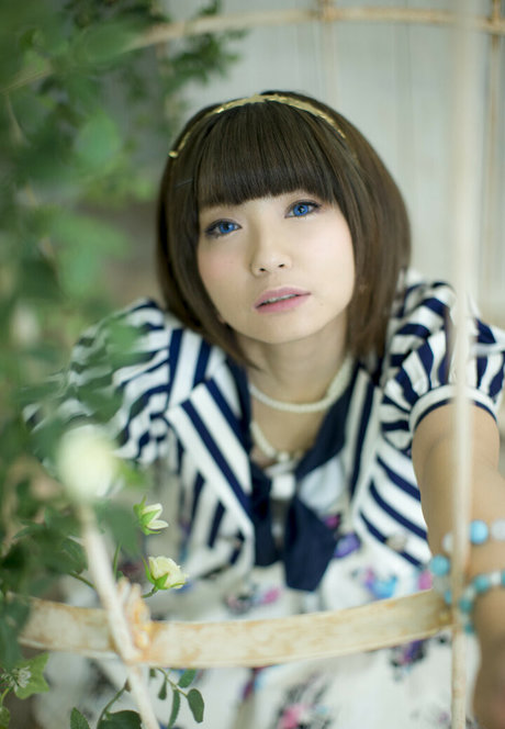 ayame apricot meilleur modèle galerie