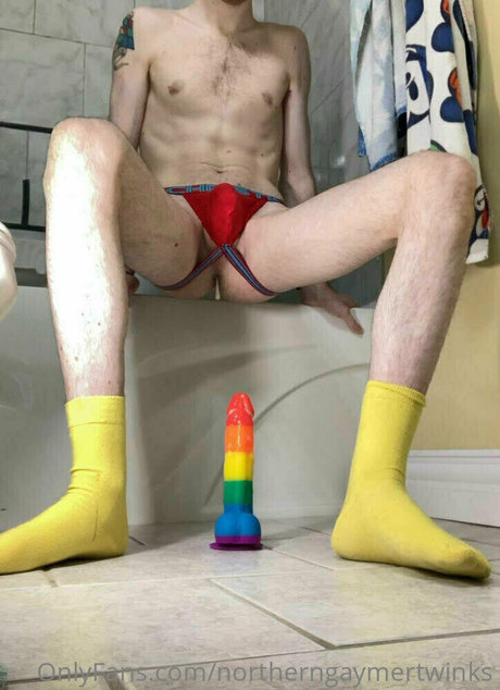 northerngaymertwinks modelo bonita imagen