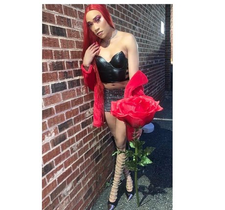 darirose actrice collection