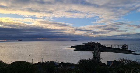 purplemiss jolie star du porno collection