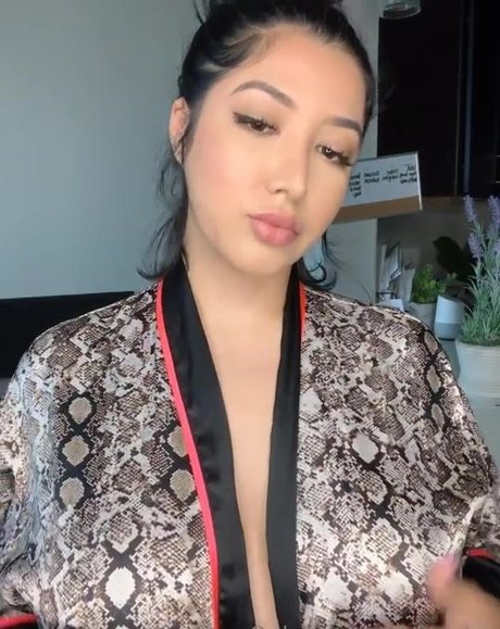 Brndav modèle artistique galerie