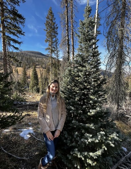 Southern Belle Brook étoile gratuite photos