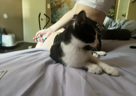 Peepdattt star pornographique img