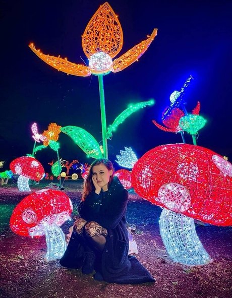 gillianfoxglove étoile parfaite image