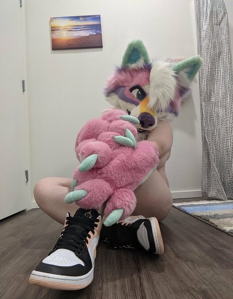 extrasoftpup star beautiful galleries
