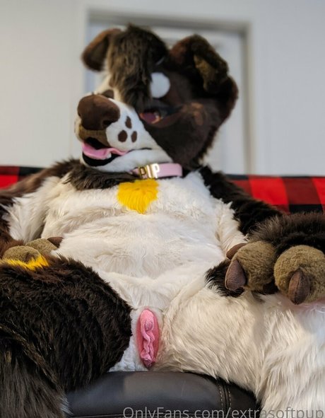 extrasoftpup erotic star image