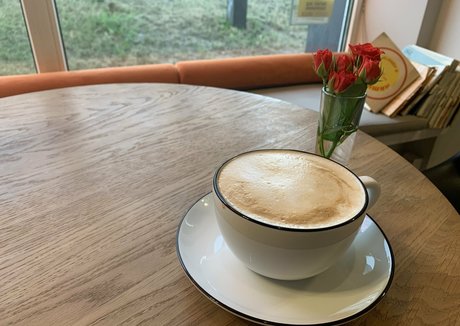 lilu666m libre de estrellas imagen