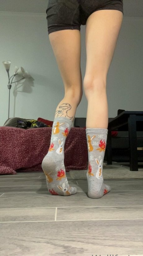 Wallfartss étoile gratuite photo