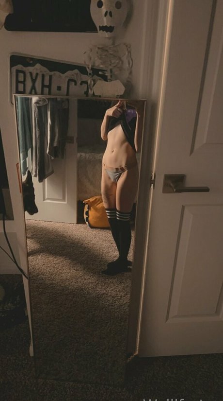 Wallfartss linda estrella archivo