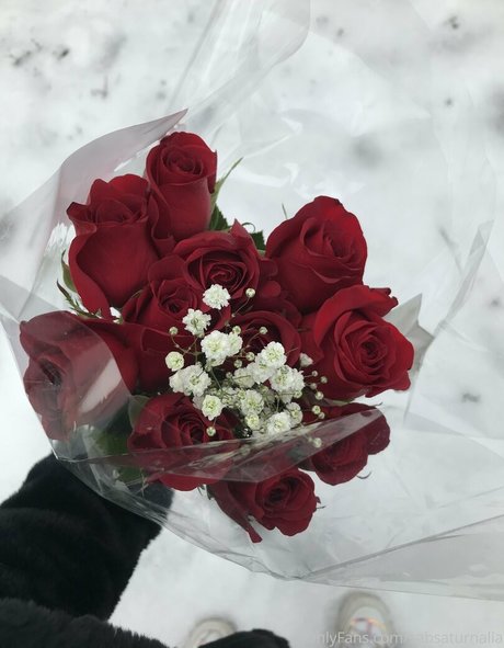 sabsaturnalia nus de stars du porno galeries