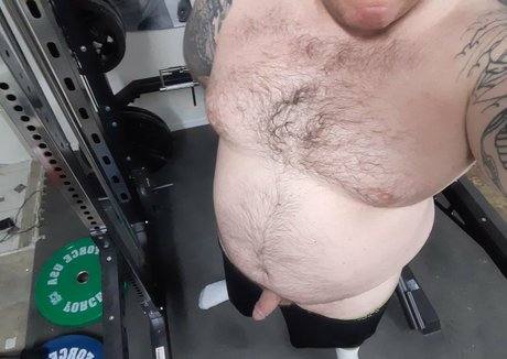 celtic bear modelo superior archivo