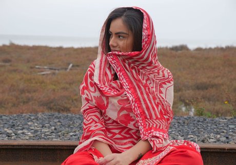 Sukh Bains star du porno exclusive collection