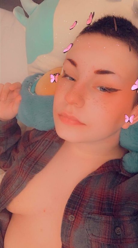 arsonistdreams meilleure étoile galeries