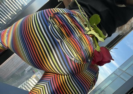 aussietwerk beau modèle collection