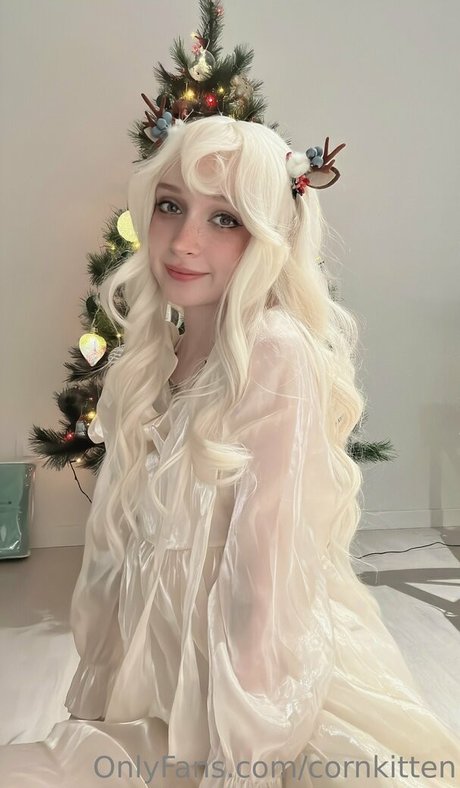 cornkitten perfect model img