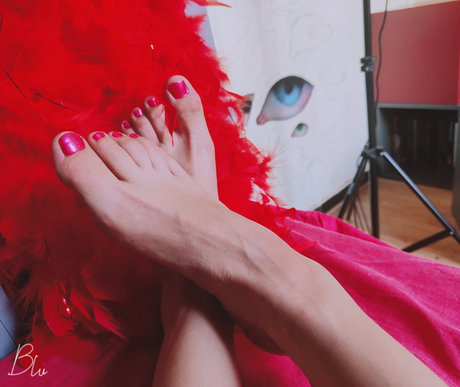 Blue Domino73 top star photo