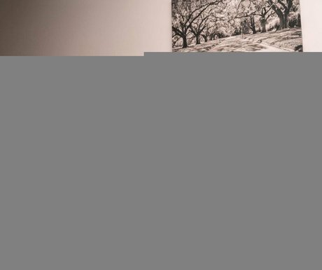 Jessica Kylie porn star img