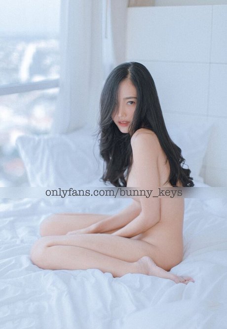 Bunny Keys model high quality images