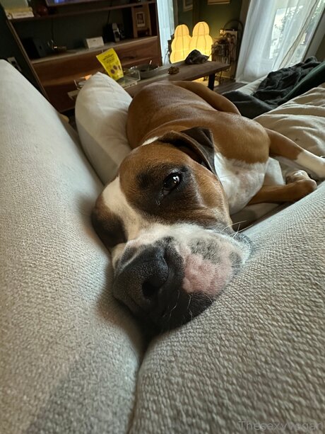 Thesexyvegan high quality actress pic