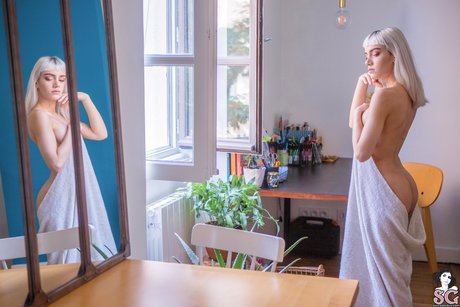 Hurricassy top star pics