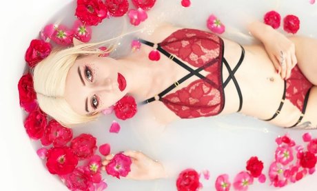 WhiteFox star beautiful pictures