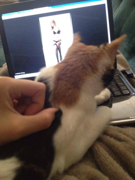 Amy wilder star art image