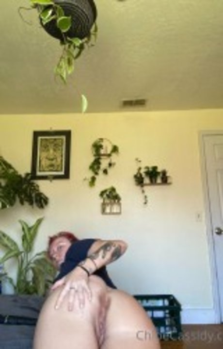 chloecassidy porn actress picture