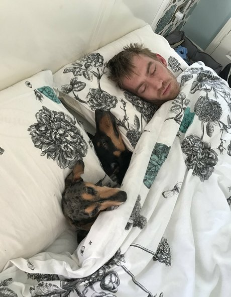 Sophia Knight art pornstar picture