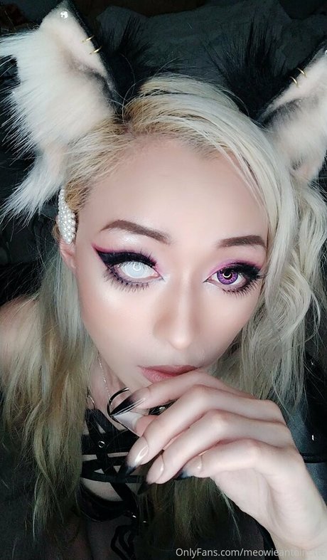 Meowieantoinette hot pornstar archive