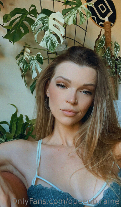 queenb raine star free archive