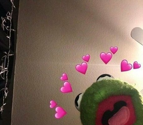 neon paws free star gallery