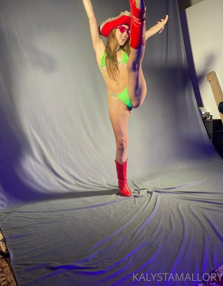 kalystamallory art star image