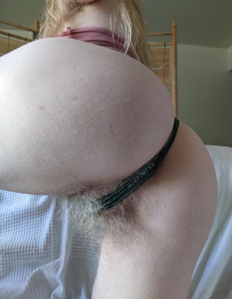 efiwfsn nice star galleries