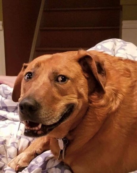 big booty onlyfans porno photos