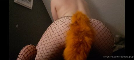 sequoia pup sexy actress archive