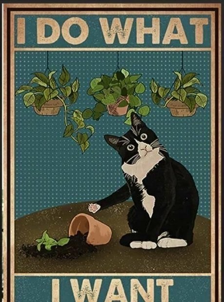 lovesickfordick sex pornstar pictures