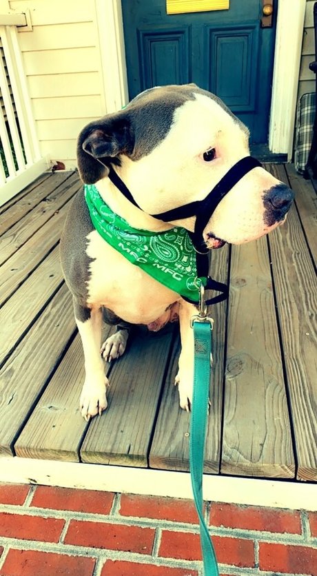 lovesickfordick hd pornstar images