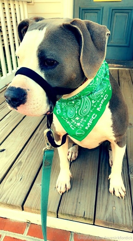 lovesickfordick hot actress img