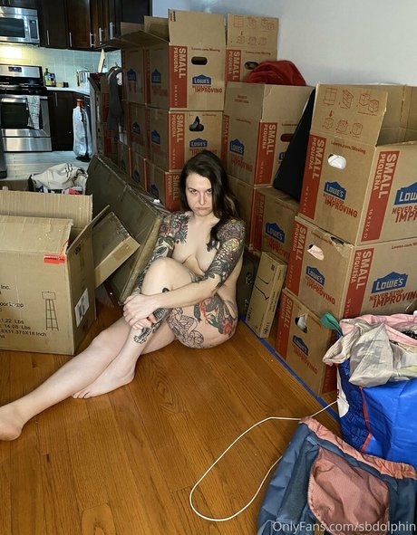 sbdolphin nudes pornstar picture