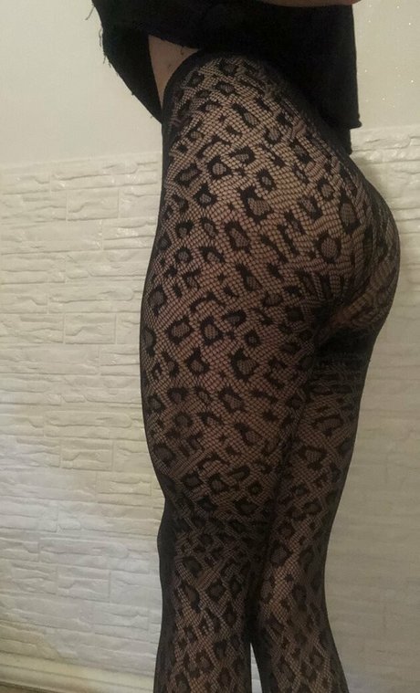 nikyborr star pornographic img