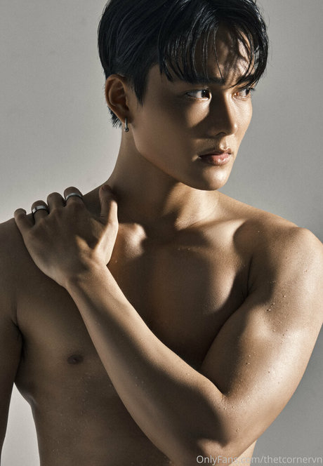 thetcornervn adult model pictures