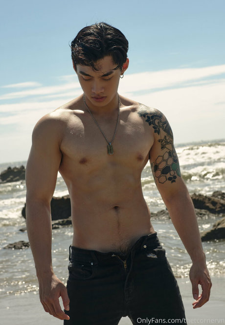 thetcornervn pretty pornstar image