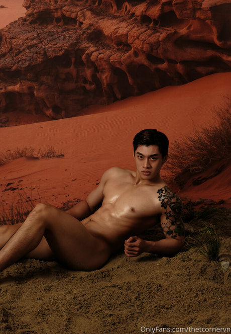 thetcornervn pornstar exclusive archive