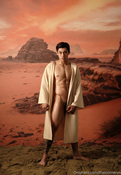 thetcornervn naked star galleries