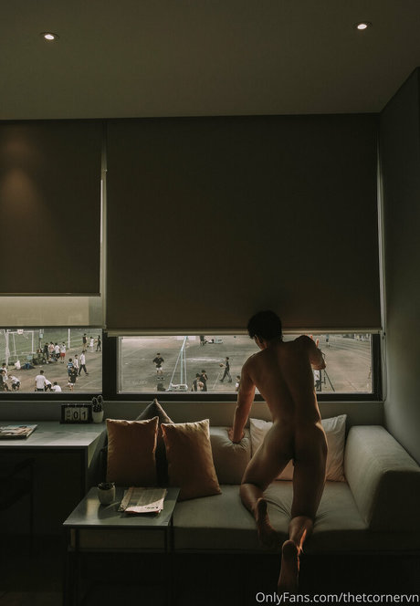 thetcornervn model top image