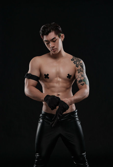 thetcornervn pornstar pretty pictures